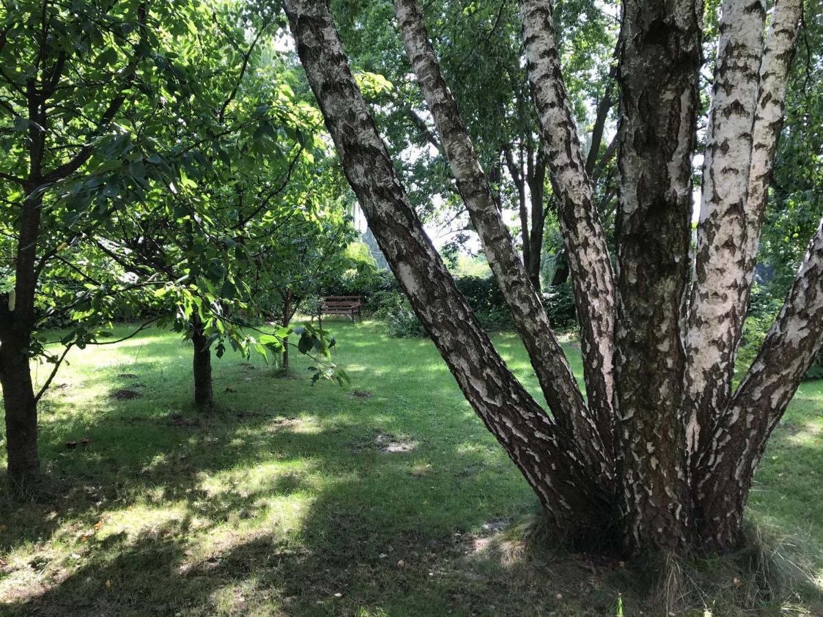 Pokoje Pod Debami Kazimierz Dolny Exteriör bild