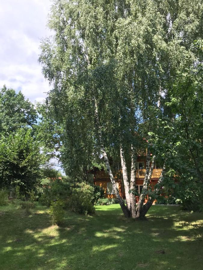Pokoje Pod Debami Kazimierz Dolny Exteriör bild