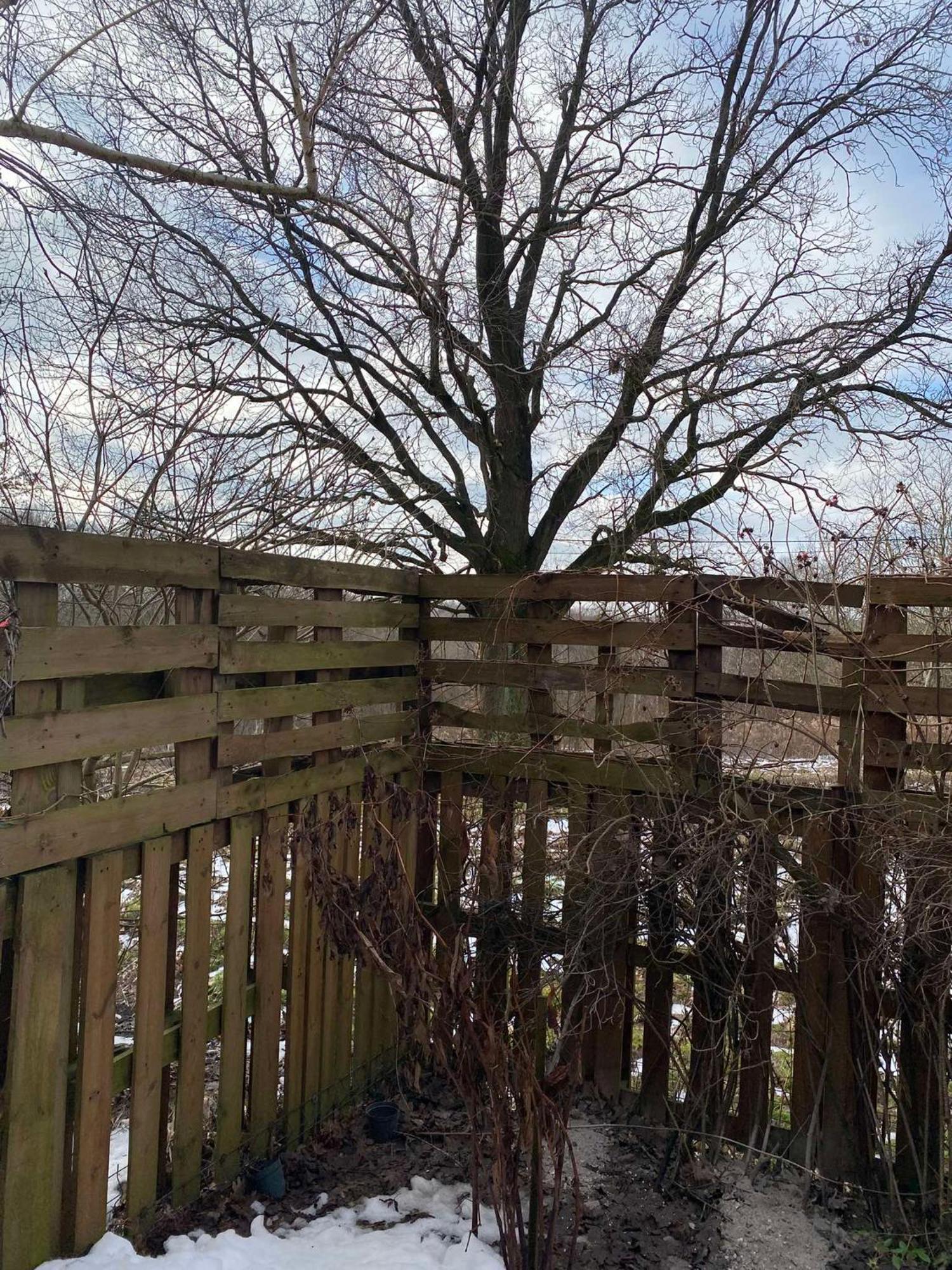 Pokoje Pod Debami Kazimierz Dolny Exteriör bild
